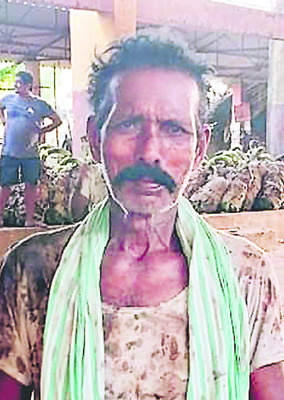 ధరను తరిగిన అరటి!3