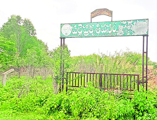 అధ్వానం.. పల్లె ప్రకృతివనం 1