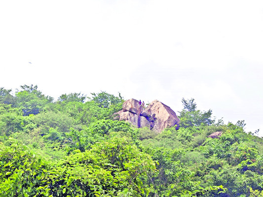 చిక్కని చిరుత
1