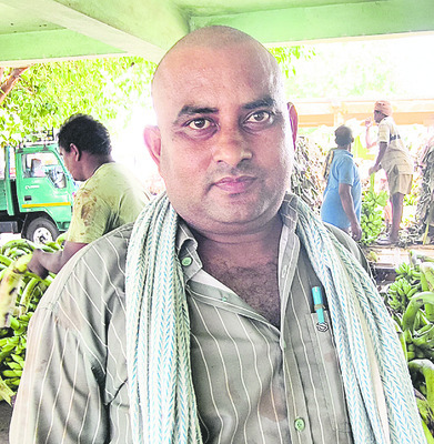 ధరను తరిగిన అరటి!5