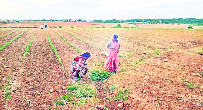 ● ‘వజ్ర’ సంకల్పం 2