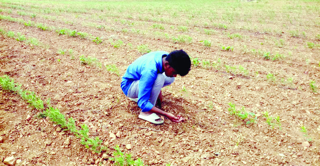 ● ‘వజ్ర’ సంకల్పం 3