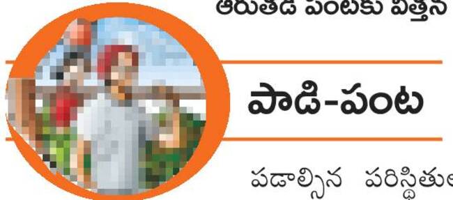 వైవిధ్య వరితం!3