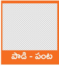 పశువుల ప్రాణాలకే ముప్పు 2