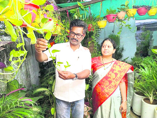 ఆ దంపతుల ‘మొక్క’వోని దీక్ష2