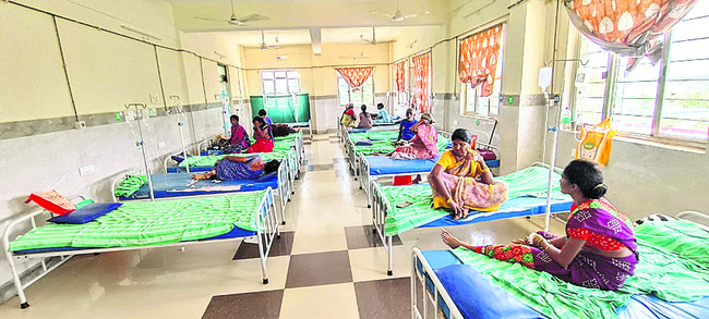 విస్తరిస్తున్న డెంగీ1
