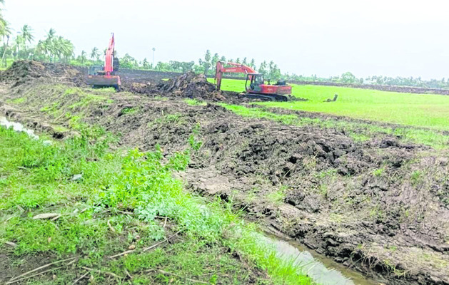 అక్రమ చేపల చెరువుల జాతర1