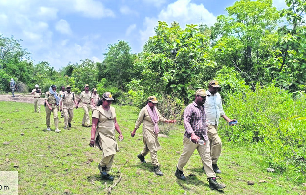 ఆపరేషన్‌ టైగర్‌!2