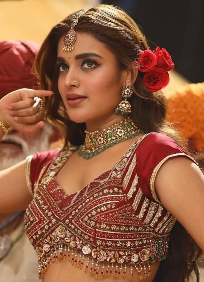 Actress Nidhhi Agerwal Latest Photos Viral14