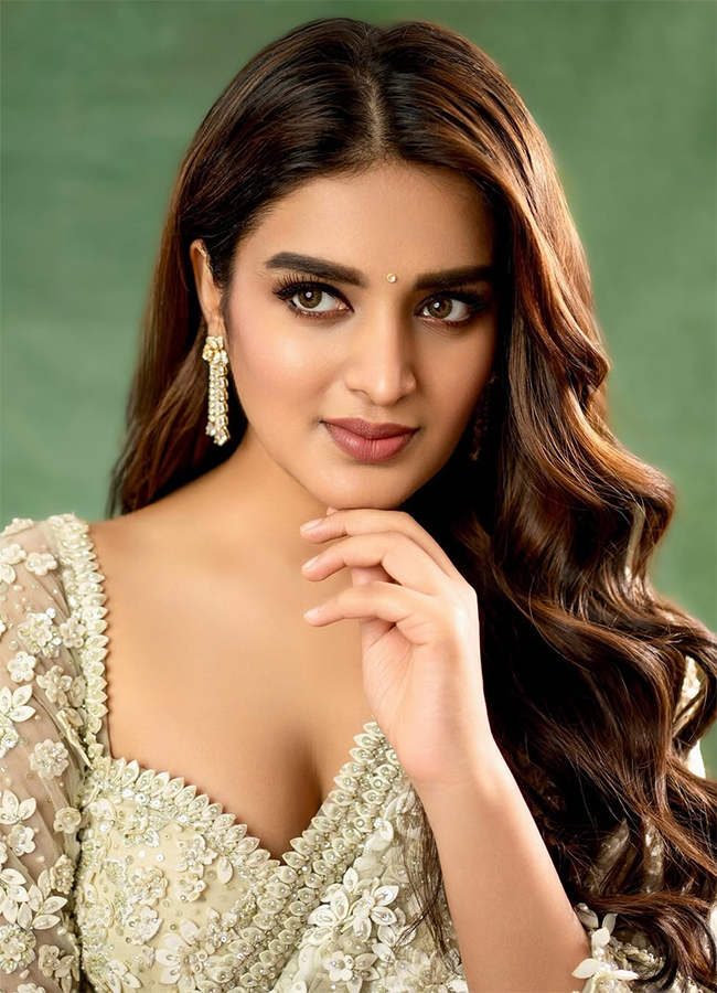 Actress Nidhhi Agerwal Latest Photos Viral15