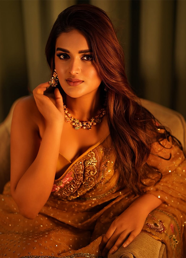 Actress Nidhhi Agerwal Latest Photos Viral20