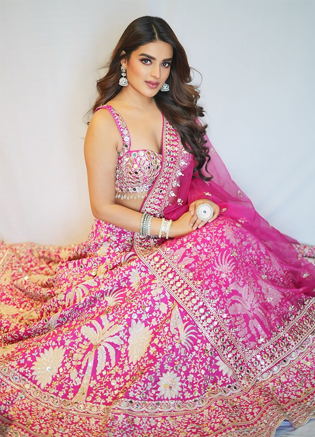 Actress Nidhhi Agerwal Latest Photos Viral3