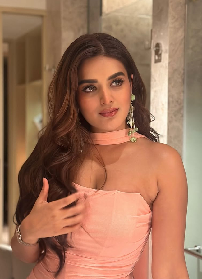 Actress Nidhhi Agerwal Latest Photos Viral8
