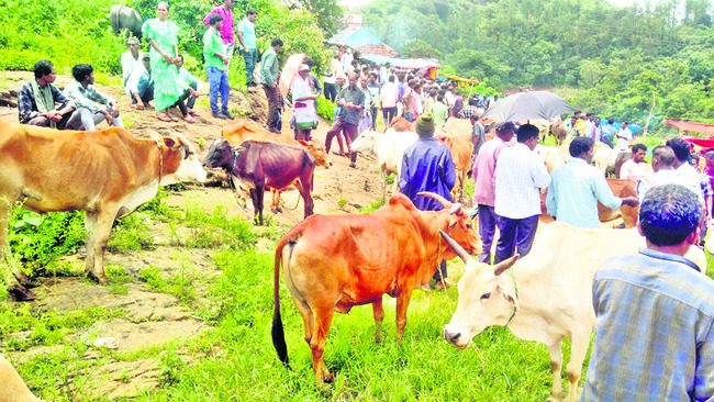 యాంత్రీకరుణ 2