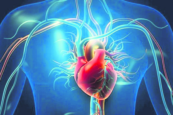 హృదయం క్షేమం2