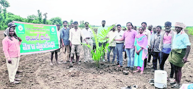 నానో యూరియాతో తగ్గనున్న వ్యయం
2