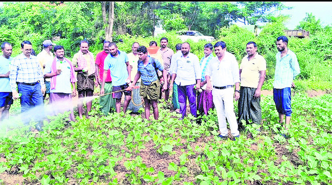 నానో యూరియాతో తగ్గనున్న వ్యయం
1