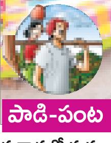 అన్నదాతకు అండ2