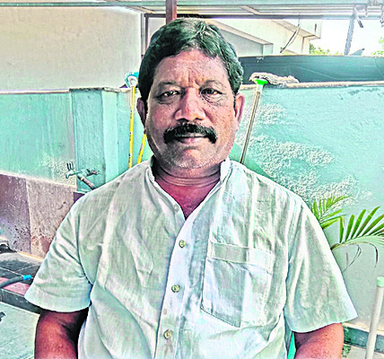 నిమ్మ ధరలు పతనం 
4