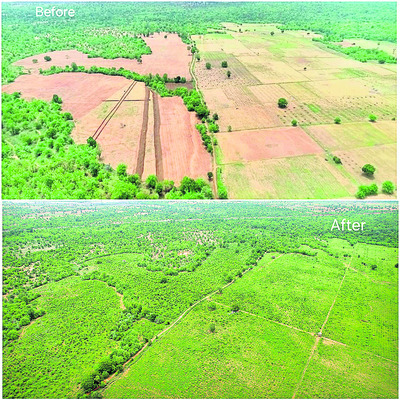 ● పెద్దపులుల ప్రవేశమార్గంలో తిరిగి పచ్చదనం ● అడవిగా రూప1