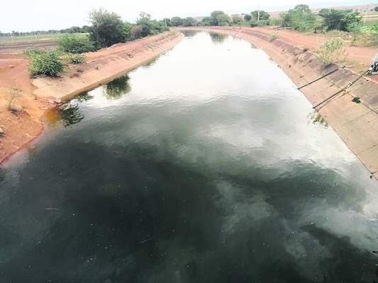 ● కేసీ నీటితో కాస్త ఊరట 3