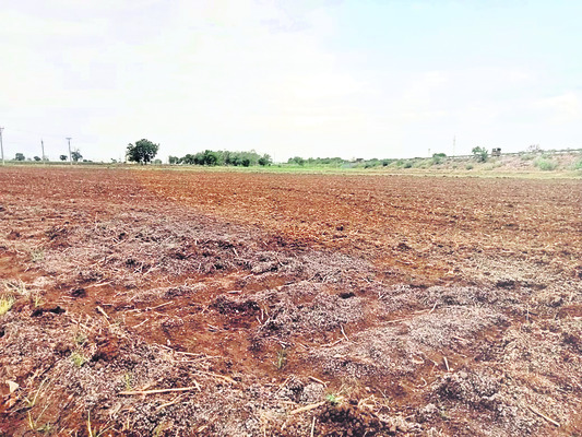 ● కేసీ నీటితో కాస్త ఊరట 4