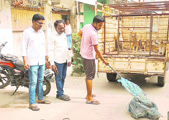 పోచమ్మకు బోనాలు1