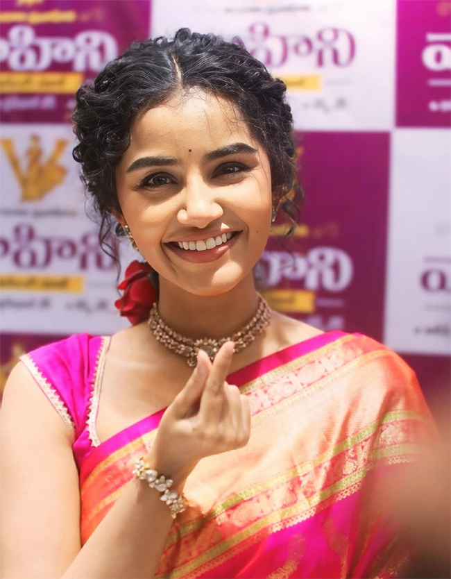 Actress Anupama Parameswaran at Karimnagar Photos5