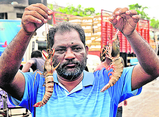 అయ్యో.. రొయ్య!1