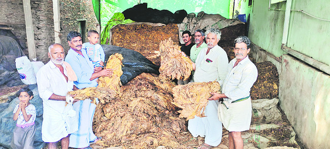 ప్రకాశం2