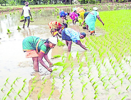 స్వల్పంగా వచ్చే వరద మంచిదే!2
