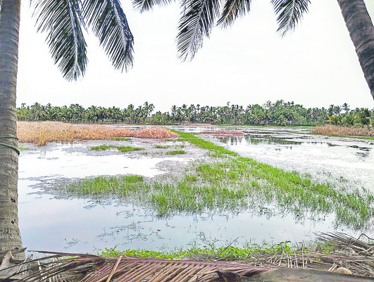 అశక్తతా.. ఆగ్రహమా?1