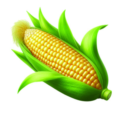 అందని సాయం 6