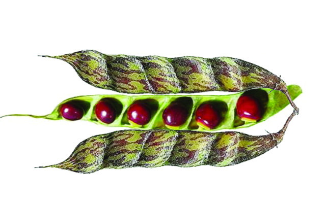 అందని సాయం 5