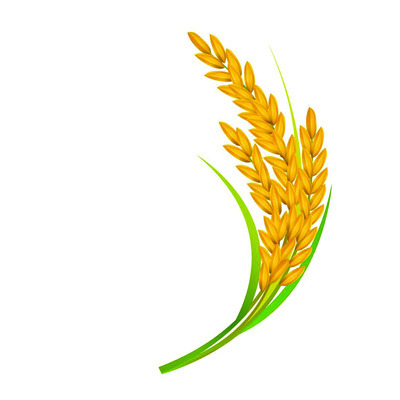అందని సాయం 3