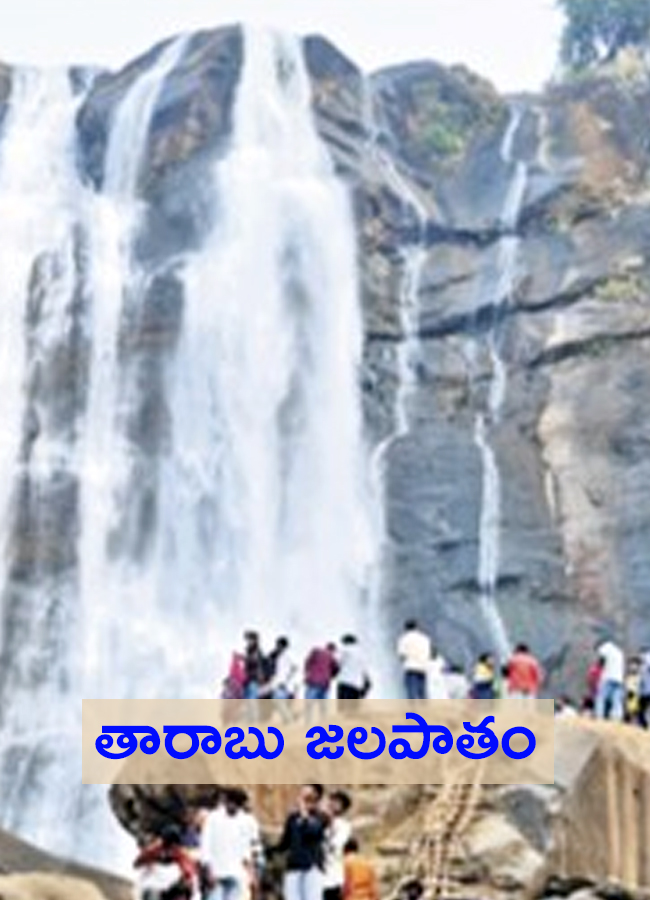 Beautiful Waterfalls At Andhra Odisha Border Photos Details5
