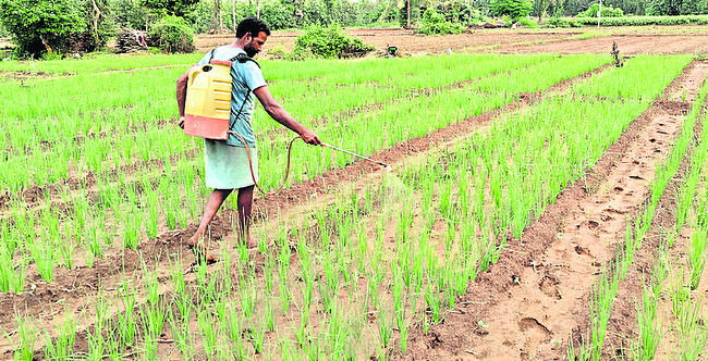 నకిలీ ఎరువుతో జాగ్రత్త!1
