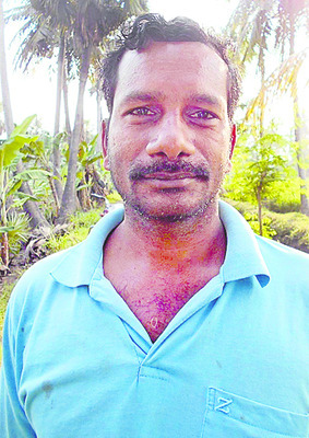 కంద రైతు కుదేలు2