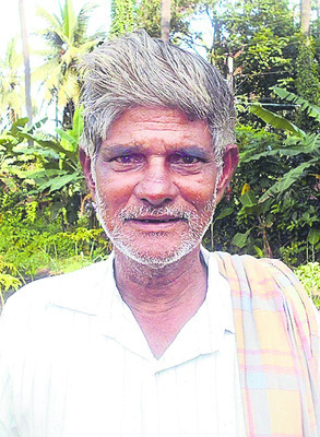 కంద రైతు కుదేలు3