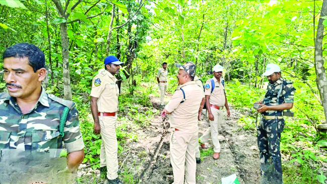 వామ్మో పులులు!1