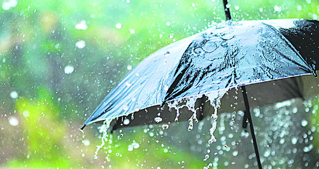 వీరభద్రస్వామికి కిలో వెండి వితరణ 3