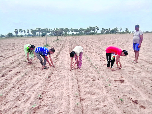 నేడు యాదగిరిగుట్టకు మంత్రి ‘అడ్లూరి’ రాక
1