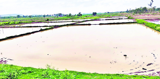 పెదవాగులో చేరిన వరదనీరు1