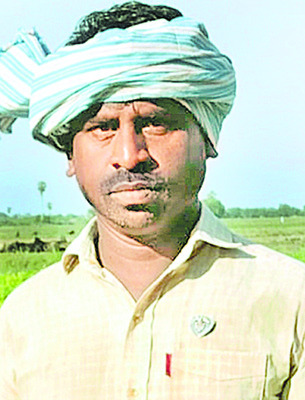 వరి సాగుకు విపత్తు 1