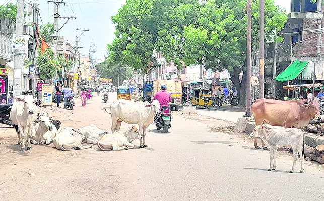 నీటిగుంతలు.. అసంపూర్తి డివైడర్లు 2