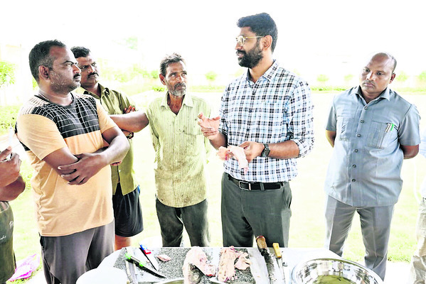 బోన్లెస్ చేపలతో రుచి, లాభాలు!1