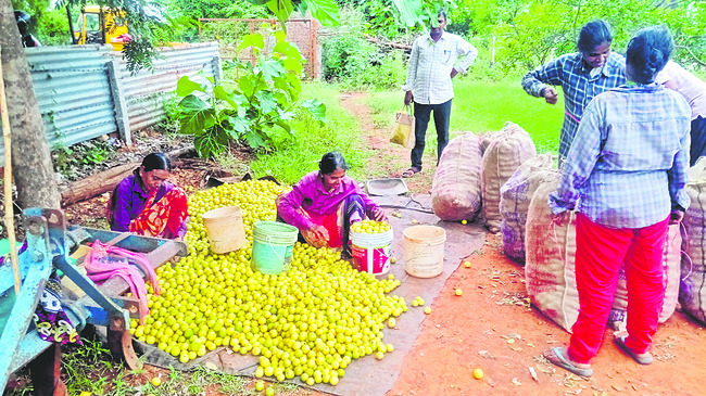 ప్రకాశం2