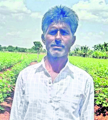 అన్నదాతను ముంచిన విత్తన పత్తి కంపెనీలు
2