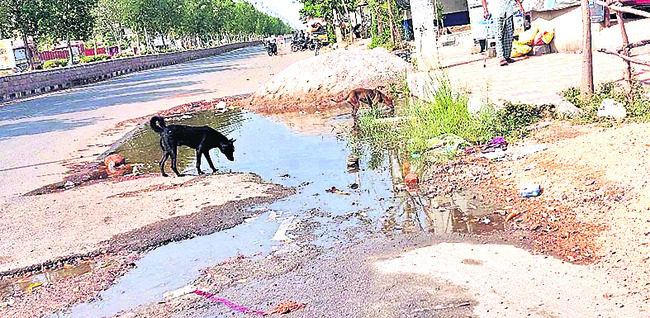 మురుగుతున్న నిర్లక్ష్యం7