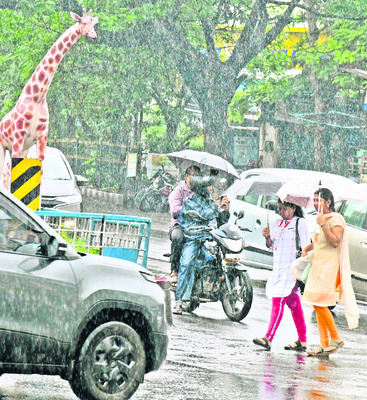 ముంచెత్తిన వర్షం2